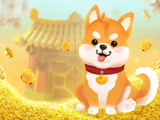 Win Win Won thumbnail